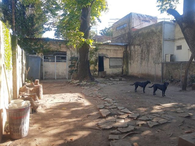 place photo 28
