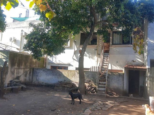 place photo 26