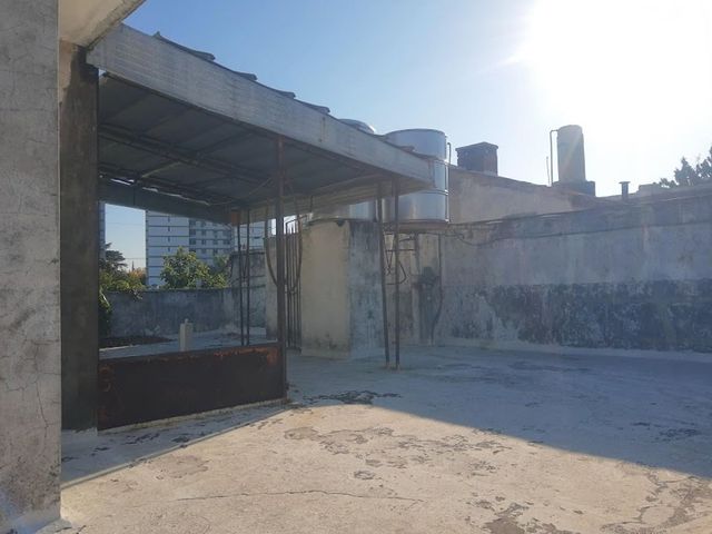 place photo 20