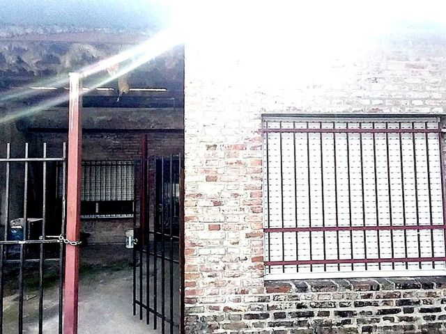 place photo 16