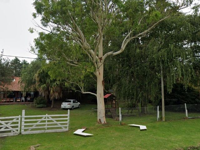 place photo 10