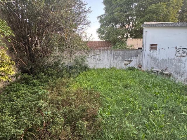 place photo 28