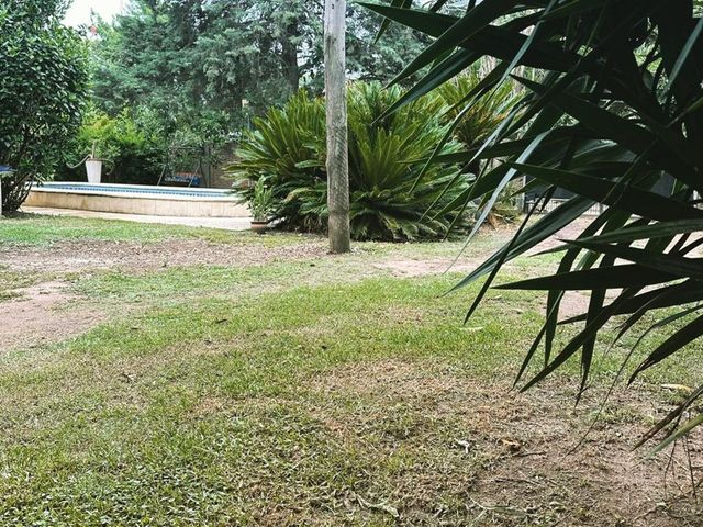 place photo 43