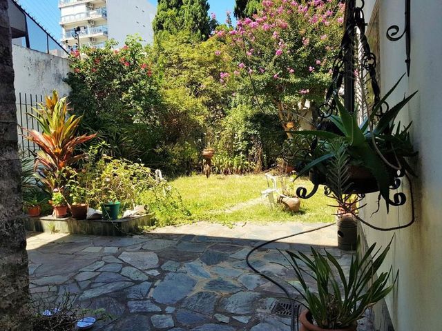 place photo 47