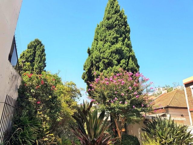 place photo 45