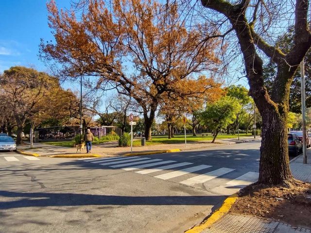 place photo 46