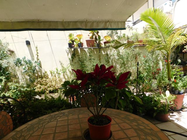 place photo 34