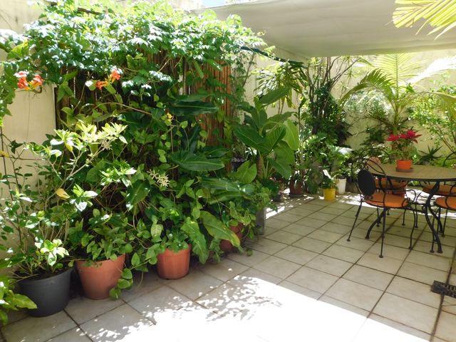 place photo 30