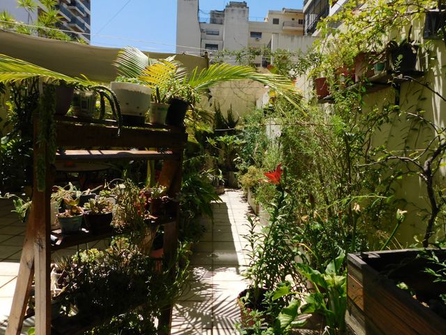 place photo 35