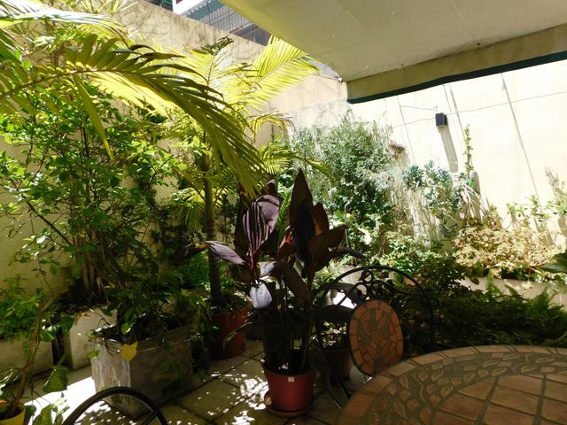 place photo 33