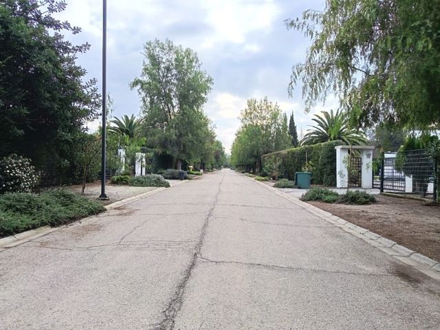 place photo 16