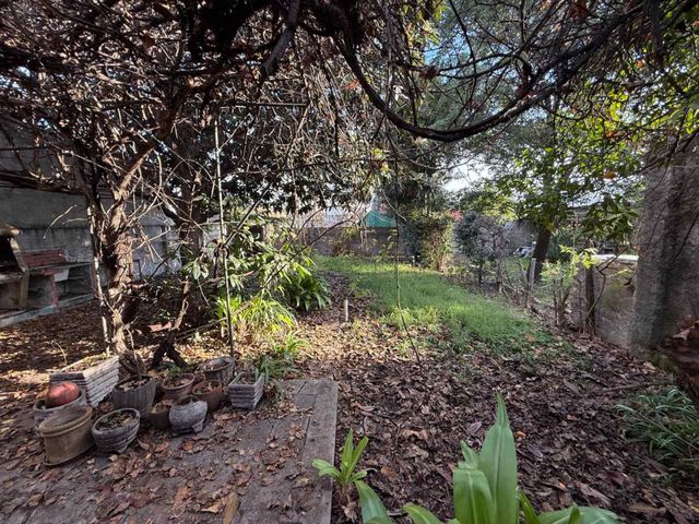 place photo 33
