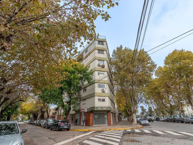 place photo 32