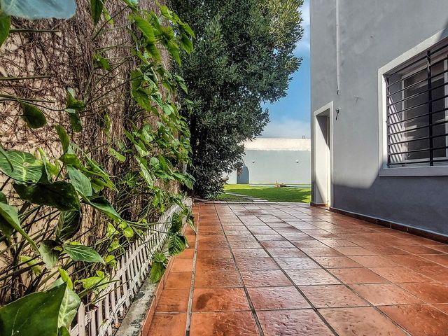 place photo 33