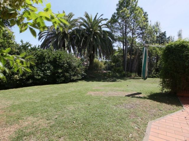 place photo 49