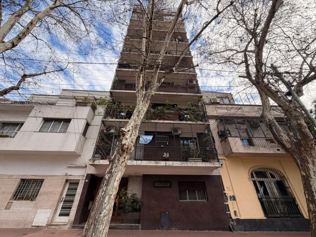 place photo 21