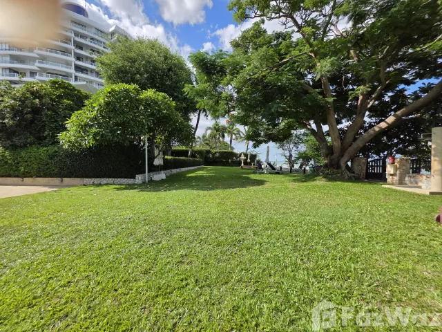 place photo 41
