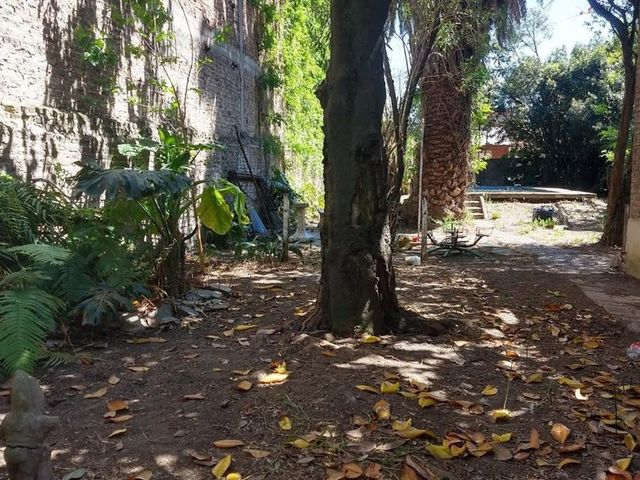 place photo 49