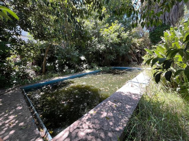 place photo 44