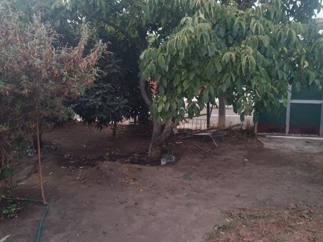 place photo 13
