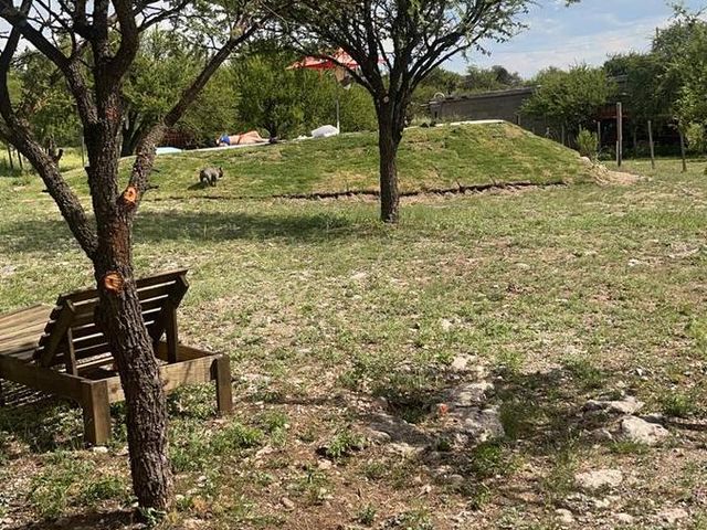 place photo 66