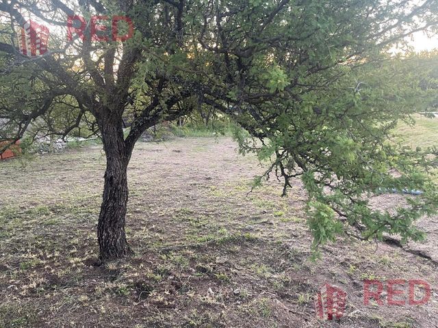 place photo 46