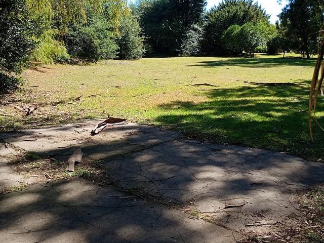 place photo 41