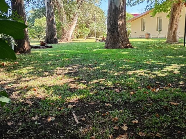 place photo 42