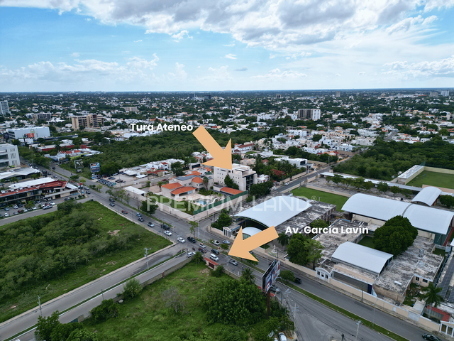 place photo 22