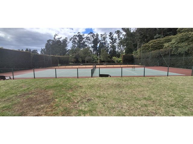 place photo 38