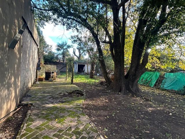 place photo 36