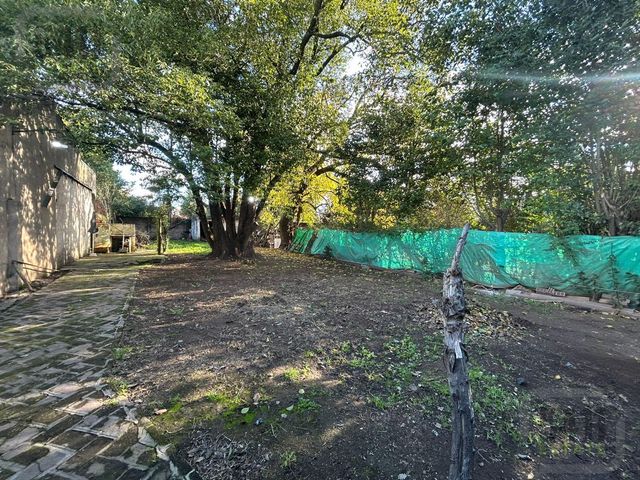 place photo 38