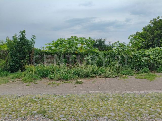 place photo 28