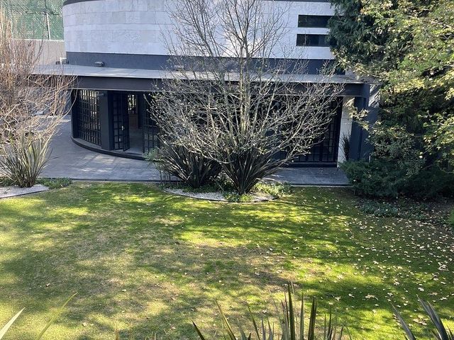 place photo 46