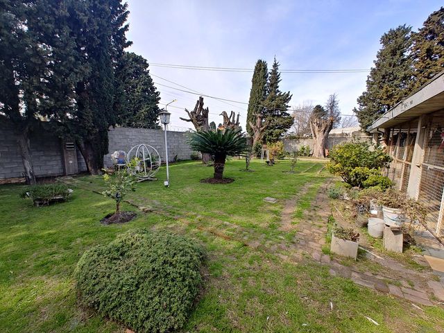 place photo 29
