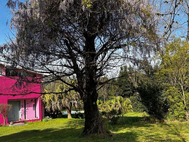 place photo 44