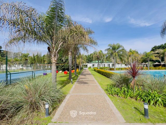 place photo 47