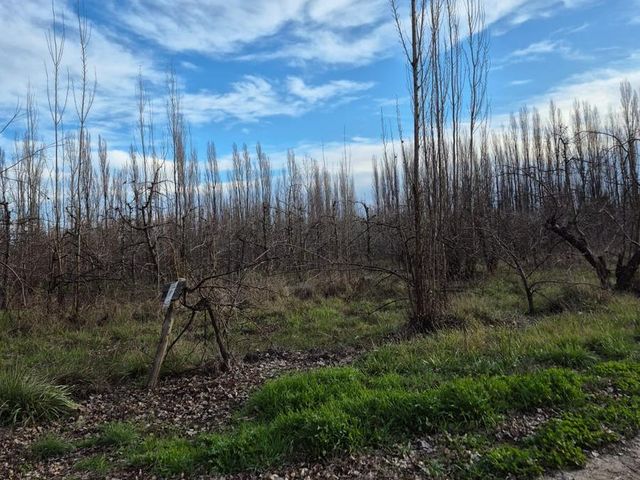 place photo 42