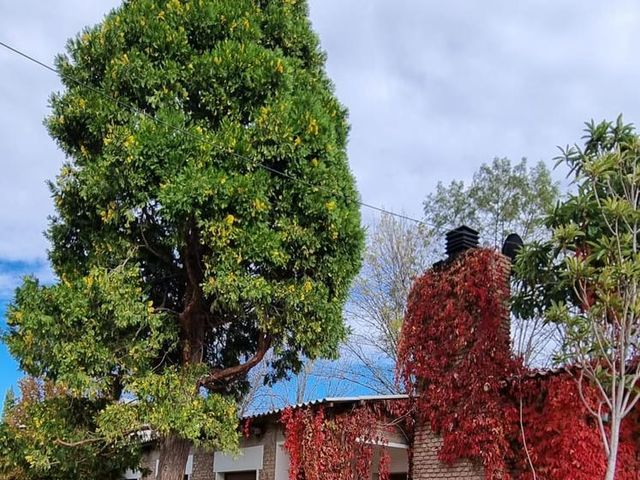 place photo 47