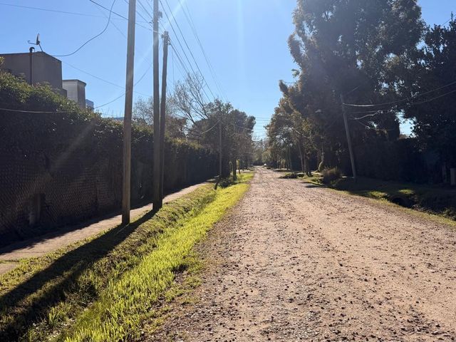 place photo 74