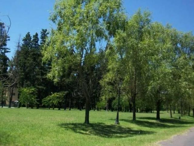 place photo 28