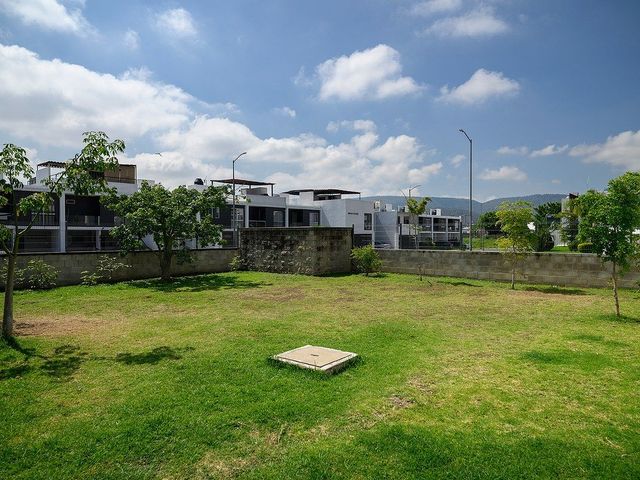 place photo 37