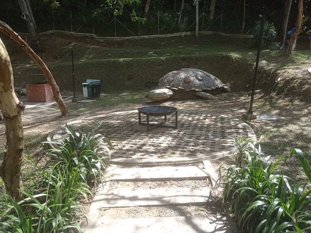 place photo 21