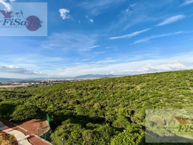 place photo 68