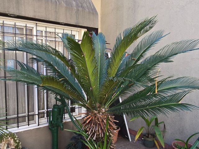 place photo 33