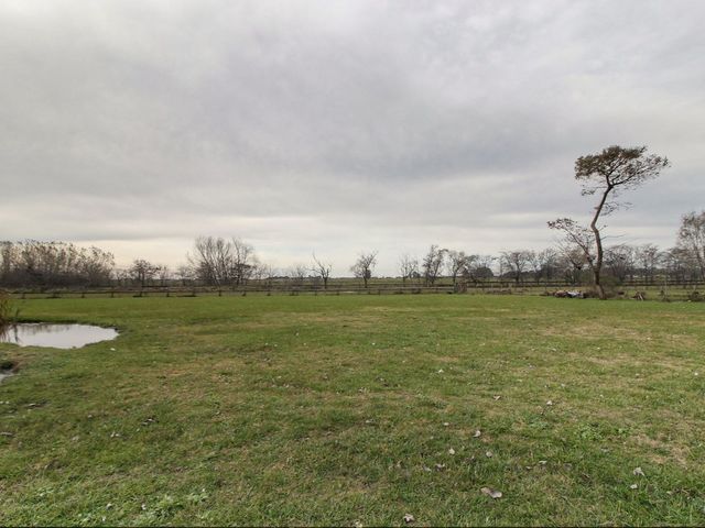 place photo 41