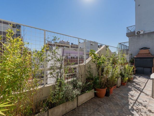 place photo 38
