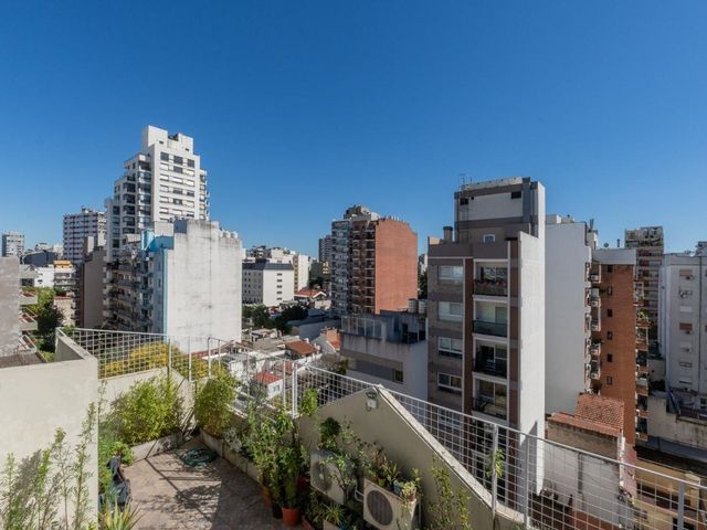 place photo 34