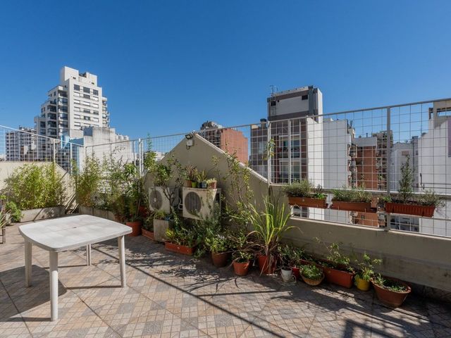 place photo 37