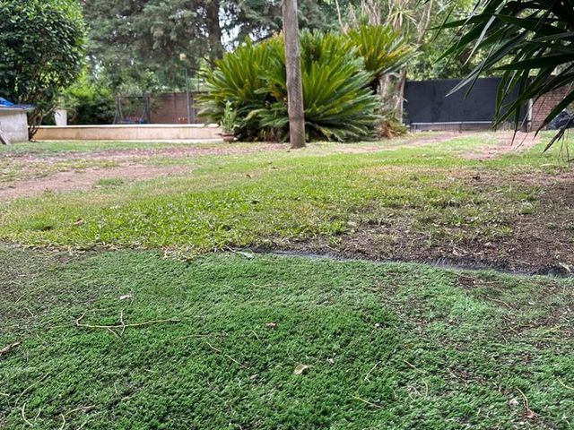 place photo 38